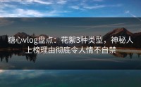 糖心vlog盘点：花絮3种类型，神秘人上榜理由彻底令人情不自禁