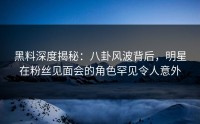 黑料深度揭秘：八卦风波背后，明星在粉丝见面会的角色罕见令人意外