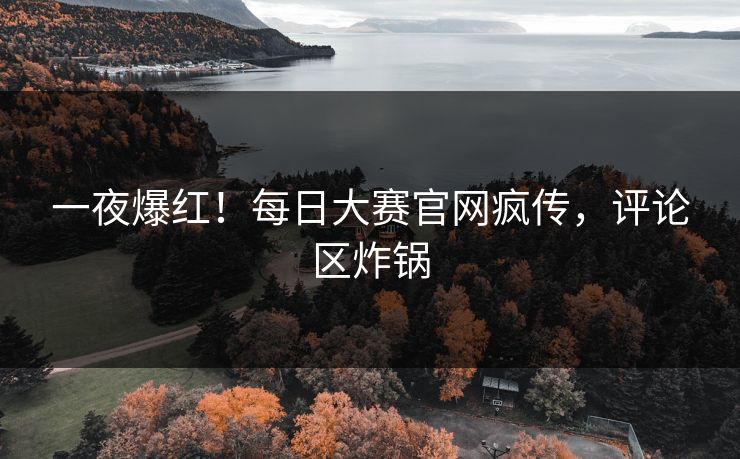 一夜爆红！每日大赛官网疯传，评论区炸锅