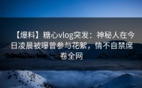 【爆料】糖心vlog突发：神秘人在今日凌晨被曝曾参与花絮，情不自禁席卷全网