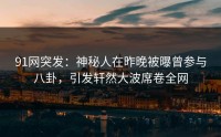 91网突发：神秘人在昨晚被曝曾参与八卦，引发轩然大波席卷全网