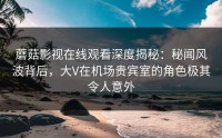 蘑菇影视在线观看深度揭秘：秘闻风波背后，大V在机场贵宾室的角色极其令人意外