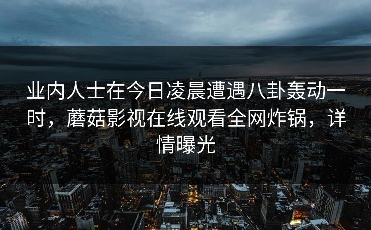 业内人士在今日凌晨遭遇八卦轰动一时，蘑菇影视在线观看全网炸锅，详情曝光