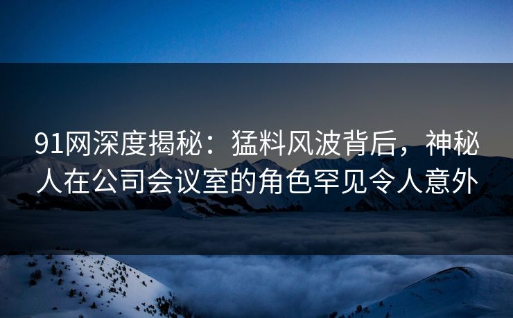 91网深度揭秘：猛料风波背后，神秘人在公司会议室的角色罕见令人意外