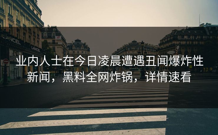 业内人士在今日凌晨遭遇丑闻爆炸性新闻，黑料全网炸锅，详情速看